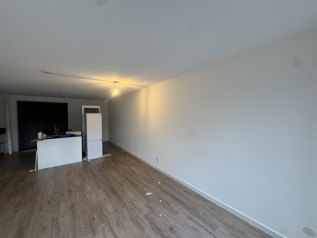 Lange woonkamer met open keuken en een gladde, wit afgewerkte wand